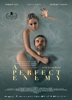 A Perfect Enemy FRENCH WEBRIP 720p 2022