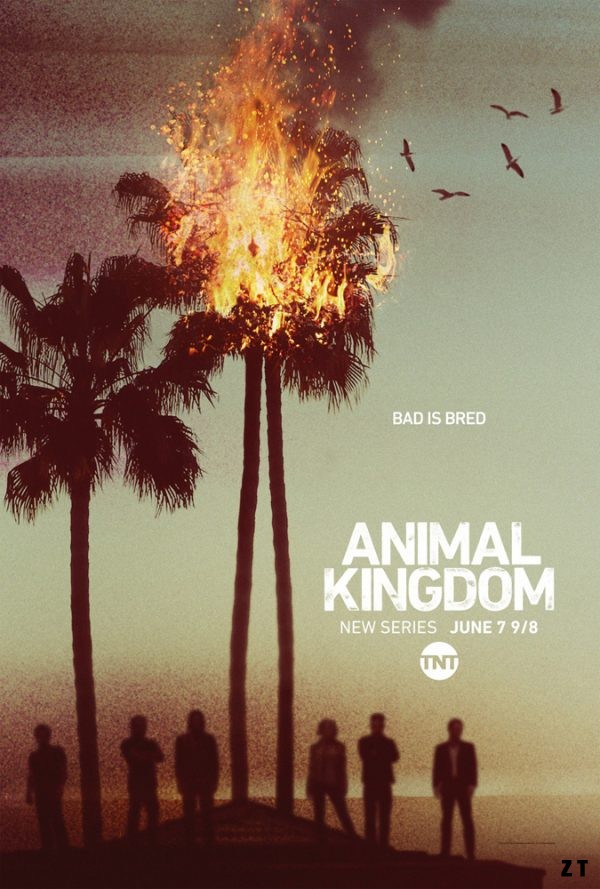 Animal Kingdom S02E01 FRENCH HDTV