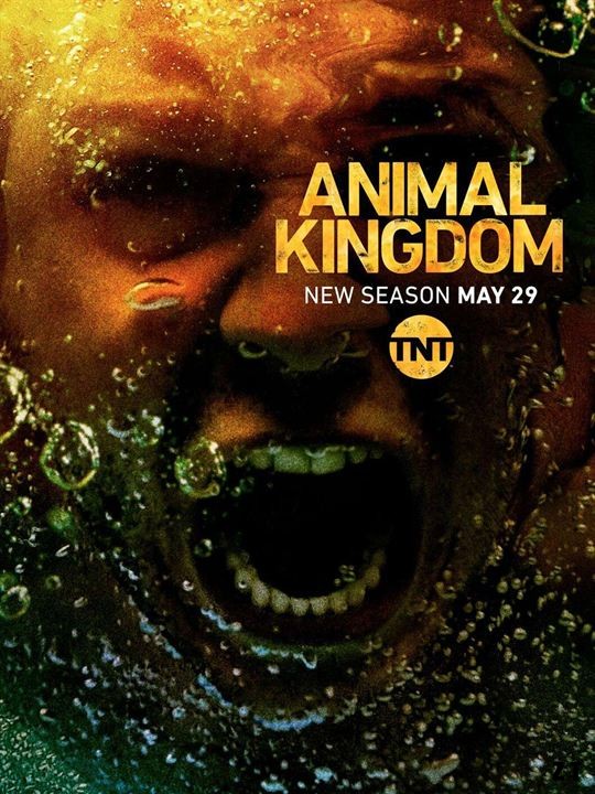 Animal Kingdom S03E04 VOSTFR HDTV