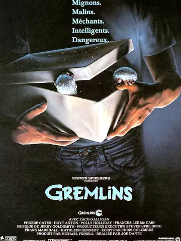 Gremlins TRUEFRENCH HDLight 1080p 1984