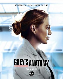 Grey's Anatomy S17E15 FRENCH HDTV