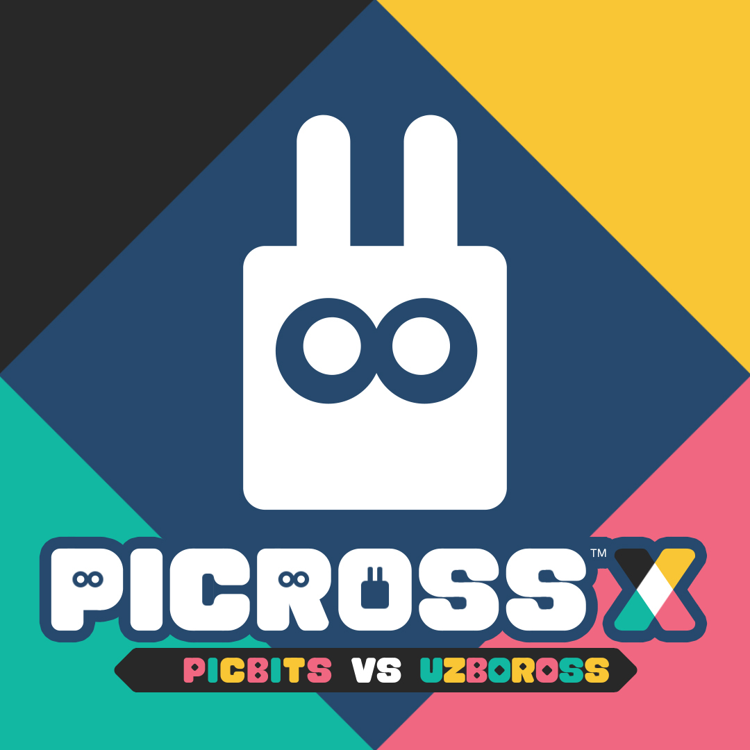 PICROSS X : PICBITS VS UZBOROSS (SWITCH)