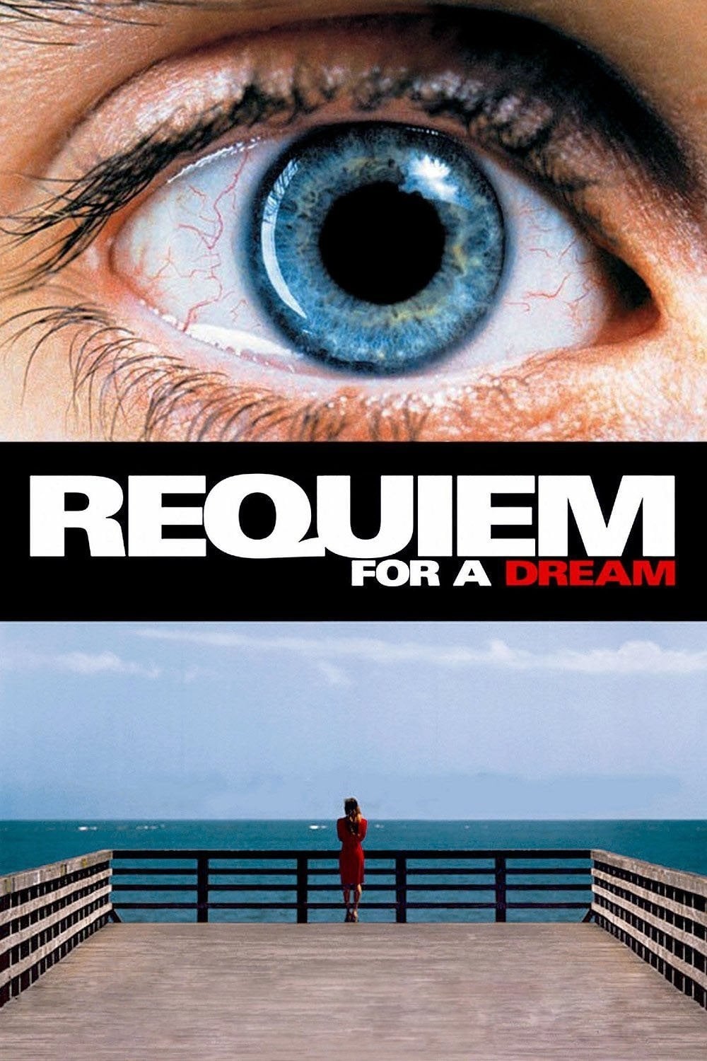 Requiem for a Dream TRUEFRENCH DVDRIP 2000