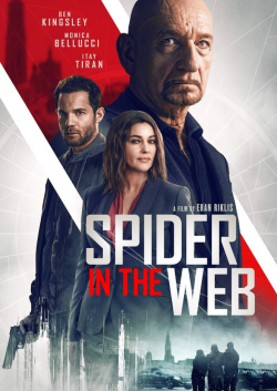 Spider in the Web FRENCH BluRay 1080p 2020