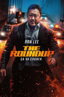 The Roundup FRENCH DVDRIP x264 2022