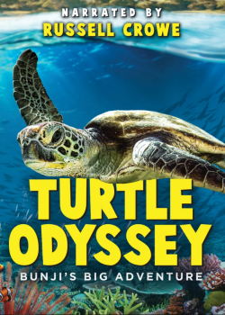 Turtle Odyssey FRENCH DVDRIP 2019