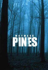 Wayward Pines S01E05 VOSTFR HDTV